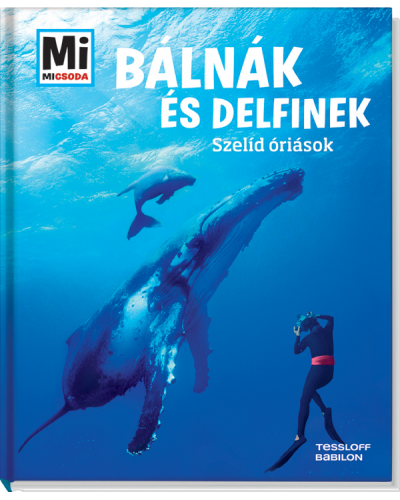 Bálnák és delfinek - Szelíd óriások